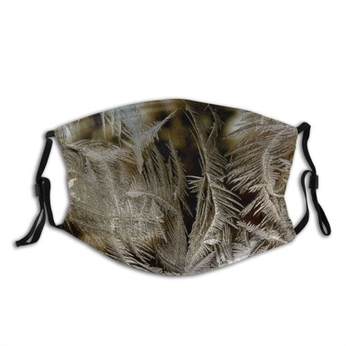 yanfind Winter Frozen Freeze Plant Forrest Ice Crystal Twig Frost Window Abstract Garden Dust Washable Reusable Filter and Reusable Mouth Warm Windproof Cotton Face