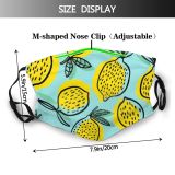 yanfind Cartoon Tropical Cute Design Fresh Art Citrus Kitchen Exotic Whole Seamless Summer Dust Washable Reusable Filter and Reusable Mouth Warm Windproof Cotton Face