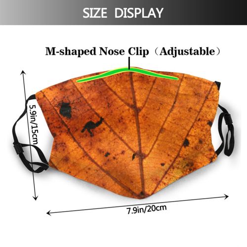 yanfind Dead Texture Maple Wood Golden Leaves Plant Grunge Leaf Decay Leaf Tree Dust Washable Reusable Filter and Reusable Mouth Warm Windproof Cotton Face