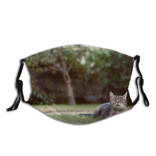 yanfind Garden Fur Young Cat Kitty Cute Summer Grass Beautiful Pretty Face Pet Dust Washable Reusable Filter and Reusable Mouth Warm Windproof Cotton Face