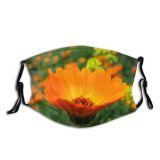 yanfind Plant Cosmos Flower Garden Sulfur Flower English Plant Beautiful Cosmos Marigold Sky Dust Washable Reusable Filter and Reusable Mouth Warm Windproof Cotton Face