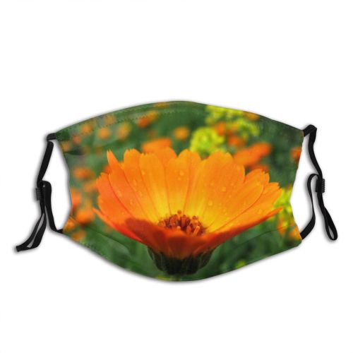 yanfind Plant Cosmos Flower Garden Sulfur Flower English Plant Beautiful Cosmos Marigold Sky Dust Washable Reusable Filter and Reusable Mouth Warm Windproof Cotton Face