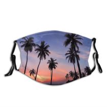 yanfind Idyllic Tropical Dawn Clouds Plants Tranquil Palm Zoom Paradise Trees Sky Pretty Dust Washable Reusable Filter and Reusable Mouth Warm Windproof Cotton Face