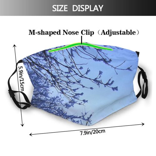yanfind Winter Hoarfrost Sky Spring Plant Sky Tree Twig Dusk Branch Plant Winter Dust Washable Reusable Filter and Reusable Mouth Warm Windproof Cotton Face