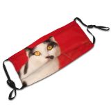 yanfind Lovely Fur Young Cat Cute Carnivore Attention Shorthair Posing Curious Beautiful Pretty Dust Washable Reusable Filter and Reusable Mouth Warm Windproof Cotton Face