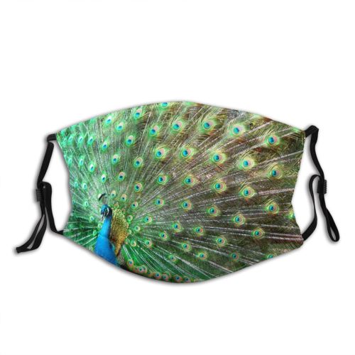 yanfind Ground Peacock Wing Fountain Tail Wader Phasianidae Accessory Beak Feather Bird Peafowl Dust Washable Reusable Filter and Reusable Mouth Warm Windproof Cotton Face