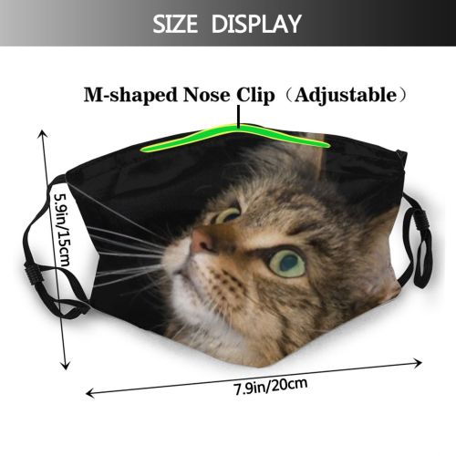 yanfind Pensive Isolated Whisker Fur Cat Kitty Coon Intelligent Space Face Pet Maine Dust Washable Reusable Filter and Reusable Mouth Warm Windproof Cotton Face