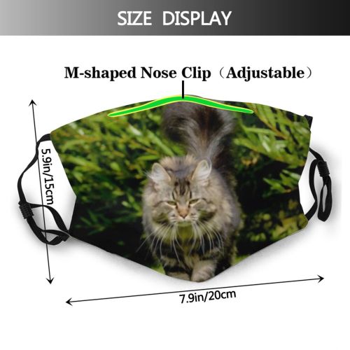 yanfind Garden Fur Young Cat Kitty Cute Junior Summer Housecat Grass Sweet Face Dust Washable Reusable Filter and Reusable Mouth Warm Windproof Cotton Face