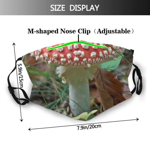 yanfind Plant Edible Penny Agaricaceae Fungus Fly Agaricomycetes Agaric Flybane Agaric Forest Mushroom Dust Washable Reusable Filter and Reusable Mouth Warm Windproof Cotton Face