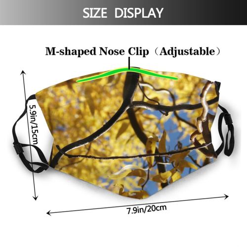 yanfind Leafs Deciduous Woody Golden Leaf Plant Spring Twig Tree Tree Branch Plant Dust Washable Reusable Filter and Reusable Mouth Warm Windproof Cotton Face