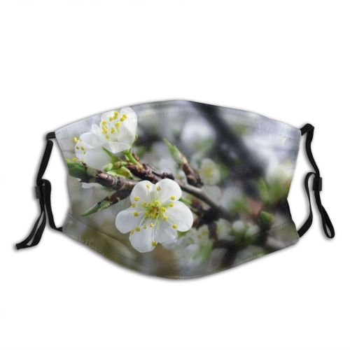 yanfind Plant Flower Buds Rosa Sericea Blossom Flower Tree Plant Spring Omeiensis Spring Dust Washable Reusable Filter and Reusable Mouth Warm Windproof Cotton Face