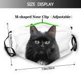 yanfind Isolated Elegant Whisker Fur Hunter Young Cat Kitty Cute Downy Muzzle Posing Dust Washable Reusable Filter and Reusable Mouth Warm Windproof Cotton Face