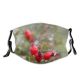 yanfind Hip Plant Flower Rosa Wild Tree Plant After Macese Fruits Canina Omeiensis Dust Washable Reusable Filter and Reusable Mouth Warm Windproof Cotton Face