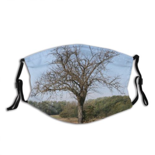yanfind Family Landscape Field Sky Plant Savanna Tree Tree Plant Branch Grass Natural Dust Washable Reusable Filter and Reusable Mouth Warm Windproof Cotton Face
