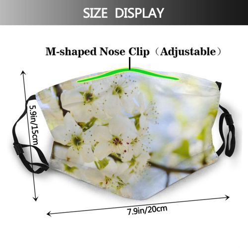 yanfind May Flower Blossum Spring Sky Limb Spring Cherry Leaves Branch Plant Flowers Dust Washable Reusable Filter and Reusable Mouth Warm Windproof Cotton Face