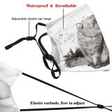 yanfind Isolated Whisker Young Striped Cat Cute Curiosity Love Tabby Eye Kitten Pair Dust Washable Reusable Filter and Reusable Mouth Warm Windproof Cotton Face