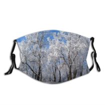 yanfind Winter Frost Sky Winter Natural Woody Landscape Sky Branch Snow Tree Frost Dust Washable Reusable Filter and Reusable Mouth Warm Windproof Cotton Face