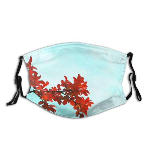 yanfind Maple Sky Stem Copyspace Autumn Leaves Branch Letter Plant Branch Flower Flowering Dust Washable Reusable Filter and Reusable Mouth Warm Windproof Cotton Face