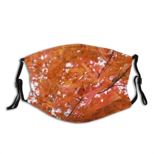 yanfind Deciduous Leaf Maple Leaf Plant Maple Tree Plant Fall Branch Autumn Woody Dust Washable Reusable Filter and Reusable Mouth Warm Windproof Cotton Face