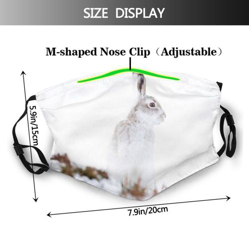 yanfind Cairngorms Coat Lagomorpha Rare Hare Rabbit Wild British Colours Scottish Timidus Fur Dust Washable Reusable Filter and Reusable Mouth Warm Windproof Cotton Face