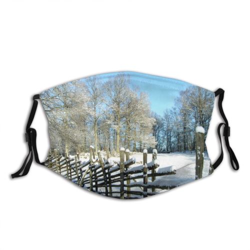 yanfind Winter Rural Landscape Sky Tree Fence Plant Frost Winter Natural Freezing Sun Dust Washable Reusable Filter and Reusable Mouth Warm Windproof Cotton Face
