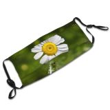 yanfind  Spring Flower Botany Lonely Camomile Garden Flora Blooming Grass Meadow Plant Dust Washable Reusable Filter and Reusable Mouth Warm Windproof Cotton Face