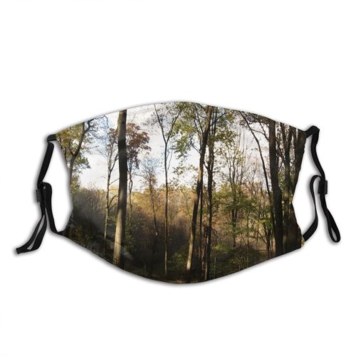 yanfind Sumac Natural Sun Autumn Growth Landscape Fall Light Wood Forest Hardwood Northern   Dust Washable Reusable Filter and Reusable Mouth Warm Windproof Cotton Face