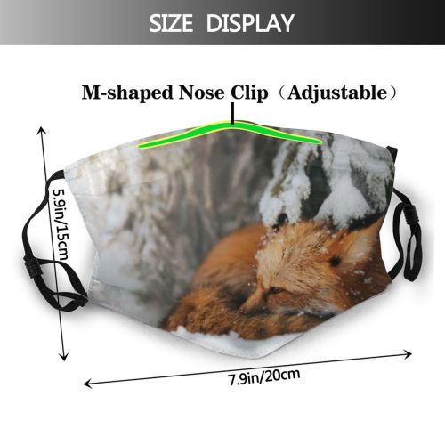 yanfind Poland Wild Fox Snow Wildlife Temperature Outdoors Winter Fur Portrait Dust Washable Reusable Filter and Reusable Mouth Warm Windproof Cotton Face