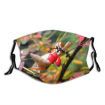 yanfind Whipple Berry Autumn Berry Fruit Canina Leaves Plant Rosa Dam Bush Hip Dust Washable Reusable Filter and Reusable Mouth Warm Windproof Cotton Face