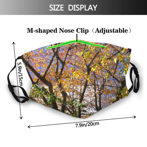 yanfind Leaves Deciduous Branch Leaf Trees Fall Plant Twig Tree Spring Branch Plant Dust Washable Reusable Filter and Reusable Mouth Warm Windproof Cotton Face