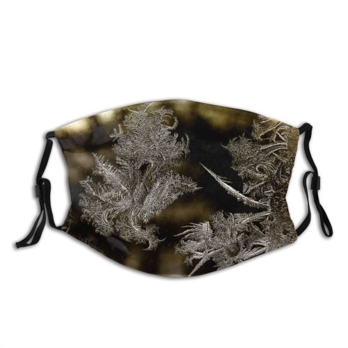 yanfind Winter Frozen Freeze Winter Plant Forrest Ice Branch Snow Crystal Leaf Tree Dust Washable Reusable Filter and Reusable Mouth Warm Windproof Cotton Face