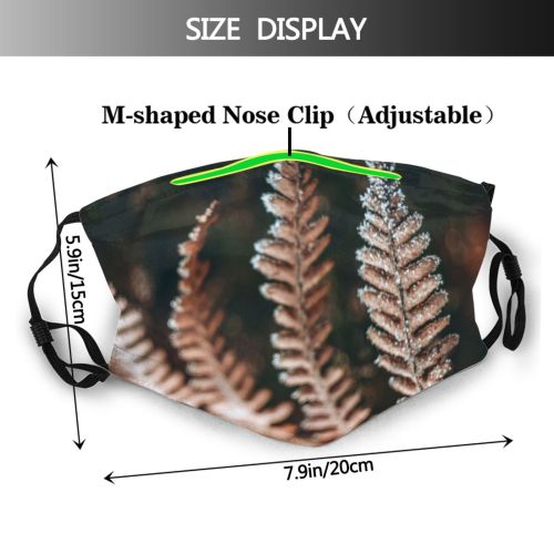 yanfind Poland Defocused Leaf Coniferous Tranquility Needle Tree Snow Foreground Snowcapped Forest Flower Dust Washable Reusable Filter and Reusable Mouth Warm Windproof Cotton Face