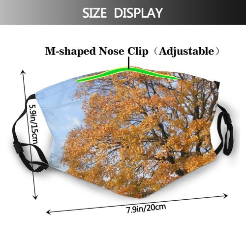 yanfind Wall Leaves Deciduous Sky Leaf Plant Sky Stone Tree Tree Plant Branch Dust Washable Reusable Filter and Reusable Mouth Warm Windproof Cotton Face