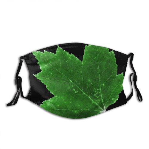 yanfind Maple Autumn Woody Leaves Maple Plant Fall Grape Plane Flower Leaf Leaf Dust Washable Reusable Filter and Reusable Mouth Warm Windproof Cotton Face