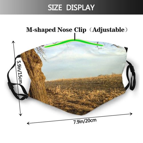 yanfind Winter Sunlight Landscape Field Sky Tree Tree Branch Field December Natural Grass Dust Washable Reusable Filter and Reusable Mouth Warm Windproof Cotton Face