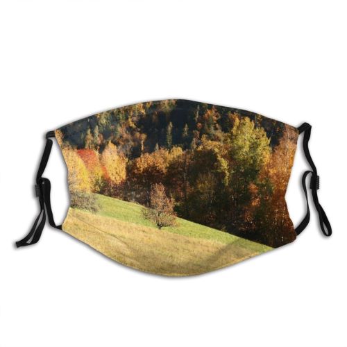 yanfind Natural Trentino Autumn Falesina Leaves Landscape Sky Fall Leaf Leaf Tree Tree Dust Washable Reusable Filter and Reusable Mouth Warm Windproof Cotton Face