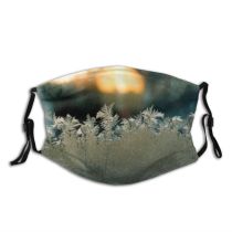 yanfind Winter Macro Sunlight Frost Sky Plant Frost Winter Morning Freezing Grass Snow Dust Washable Reusable Filter and Reusable Mouth Warm Windproof Cotton Face