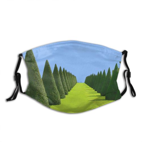yanfind Sky Woody Landscape Thuya Sky Plant Shrub Tree Tree Versailles Biome France Dust Washable Reusable Filter and Reusable Mouth Warm Windproof Cotton Face