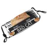 yanfind Isolated Felon Gangster Drunk Cat Wool Board Breach Cute Jail Suspect Judgment Dust Washable Reusable Filter and Reusable Mouth Warm Windproof Cotton Face