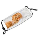 yanfind Crazy Comfort Fur Bed Cat Kitty Cute Cozy Interior Ginger Relax Settle Dust Washable Reusable Filter and Reusable Mouth Warm Windproof Cotton Face