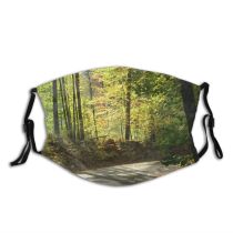 yanfind Temperate Sky Natural Autumn Leaves Hampshire Landscape Fall Sunlight Fence Broadleaf Road Dust Washable Reusable Filter and Reusable Mouth Warm Windproof Cotton Face
