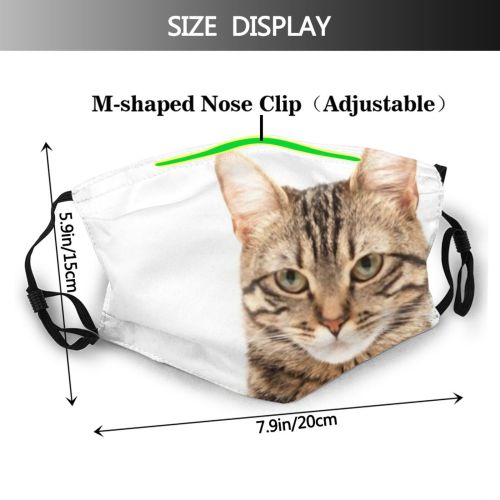 yanfind Attractive Whisker Fur Straight Kitty British Carnivore Jump Shorthair Adorable Frolicsome Grey Dust Washable Reusable Filter and Reusable Mouth Warm Windproof Cotton Face