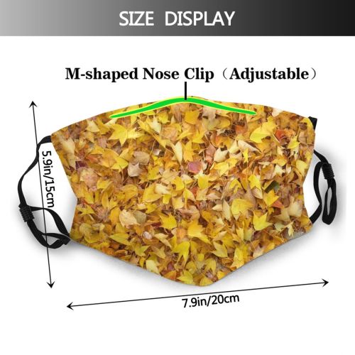 yanfind Leaves Deciduous Gum Maple Leaf Fall Plant Tree Sweet Autumn Plane Autumn Dust Washable Reusable Filter and Reusable Mouth Warm Windproof Cotton Face