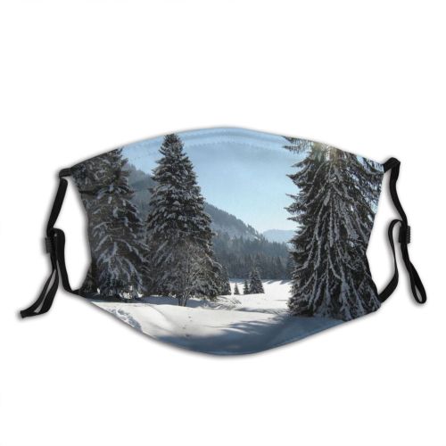 yanfind Spruce Winter Atmospheric Woody Sky Shortleaf Spruce Snow Mountain Forest Tree Tree Dust Washable Reusable Filter and Reusable Mouth Warm Windproof Cotton Face