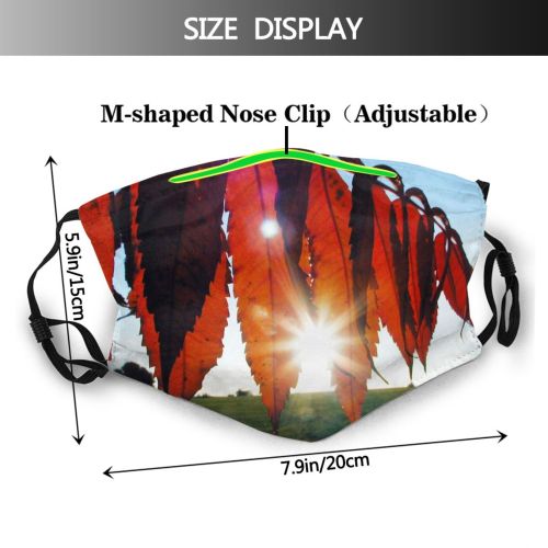 yanfind Winter Sun Autum Leaves Landscape Sky Plant Herbst Sunlight Landschaft Leaf Tree Dust Washable Reusable Filter and Reusable Mouth Warm Windproof Cotton Face