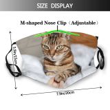yanfind Bedroom Fur Support Bed Emotional Cat Give Cute Relationship Striped Open Caress Dust Washable Reusable Filter and Reusable Mouth Warm Windproof Cotton Face