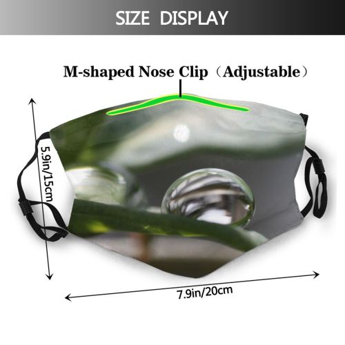 yanfind Tropfen Drop Reflection Plant Leaf Moisture Plants Rain Drop Macro Macro Dew Dust Washable Reusable Filter and Reusable Mouth Warm Windproof Cotton Face