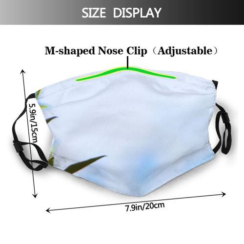 yanfind Winter Texture Sky Stem Leaves Vegetation Holly Plant Fall Sky Flower Flowering Dust Washable Reusable Filter and Reusable Mouth Warm Windproof Cotton Face