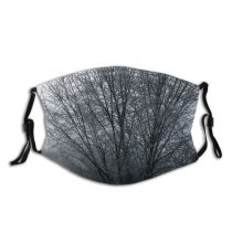 yanfind Winter Frost Trees Twig Plant Tree Branch Plant Frost Winter Atmospheric Freezing Dust Washable Reusable Filter and Reusable Mouth Warm Windproof Cotton Face