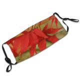 yanfind Flowering Leaves Leaf Maple Maple Trees Bench Colorful Leaf Tree Plant Plant Dust Washable Reusable Filter and Reusable Mouth Warm Windproof Cotton Face